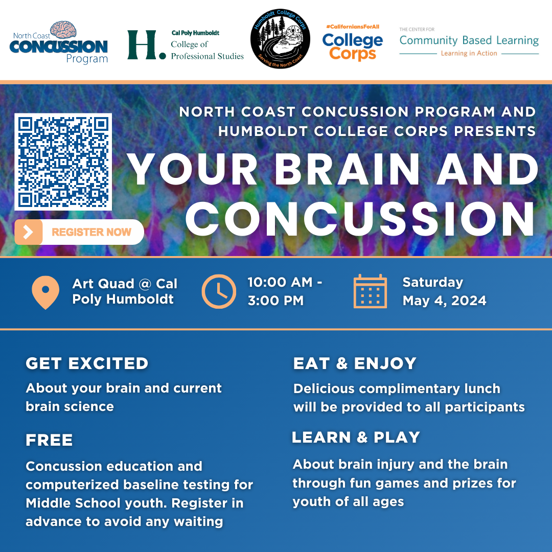 YOUR BRAIN AND CONCUSSION