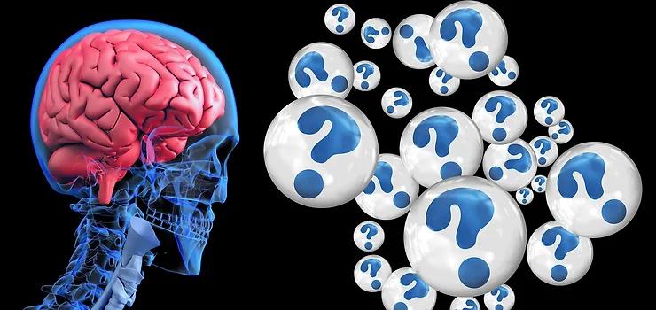graphic of a skull with a brain in it and a group of scattered question marks in front of the face