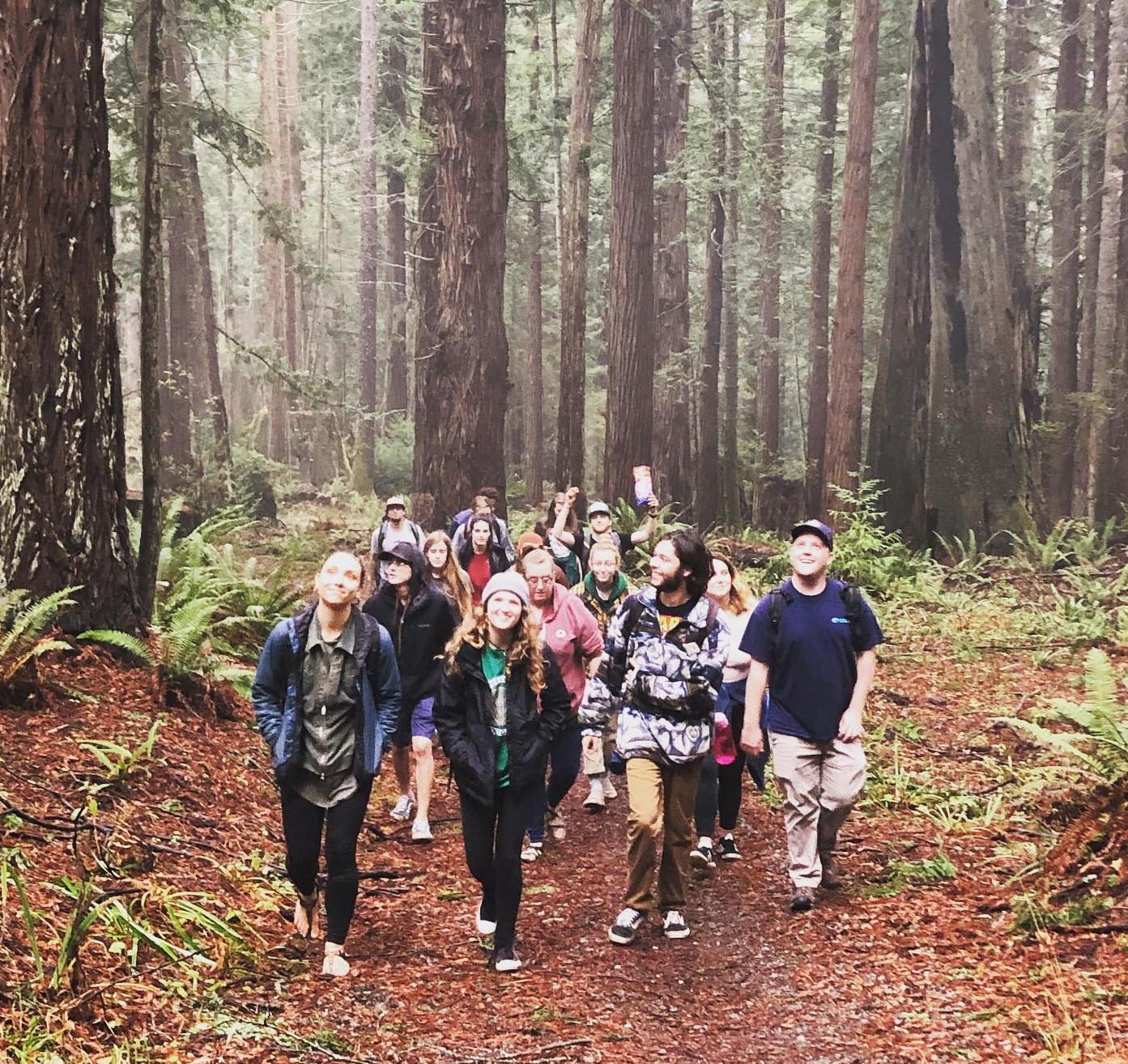 Students taking a hike in the forest