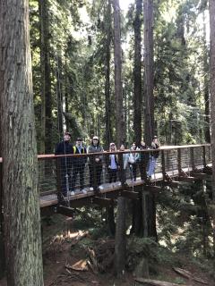 Tourism Students at Redwood Canopy Sky Walk